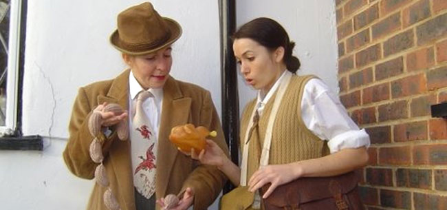 holding roast chicken